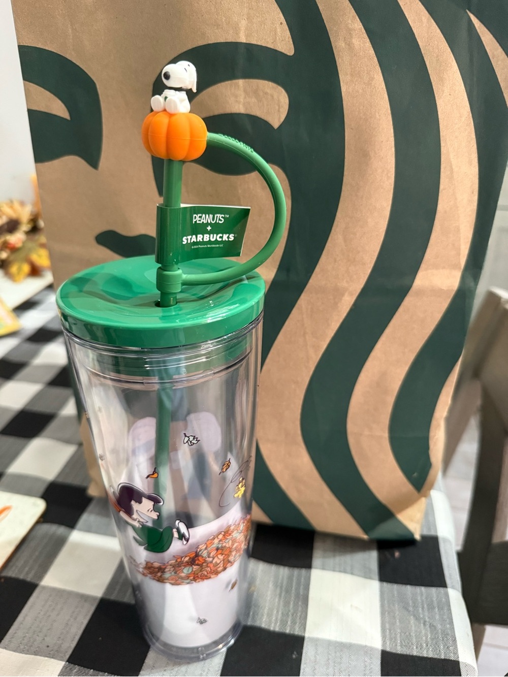Starbucks Green Peanuts Snoopy Pumpkin Tumbler with Lid and Straw